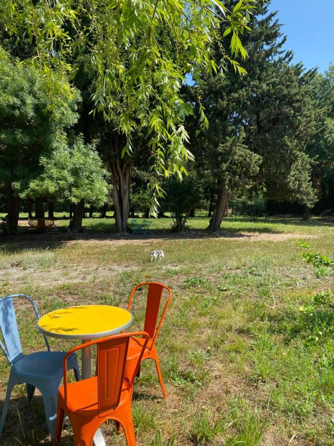 Chambre D'Hotes Les Cypres De L'Ile Avignon Eksteriør bilde